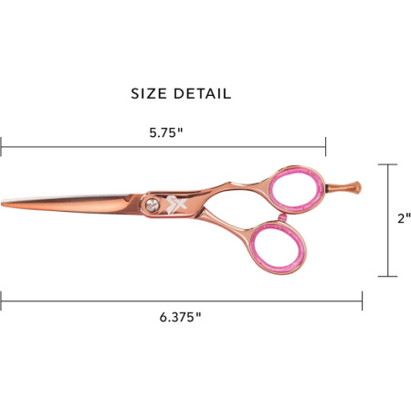 393de3ac-6713-4f58-91b3-fc3d72db7278