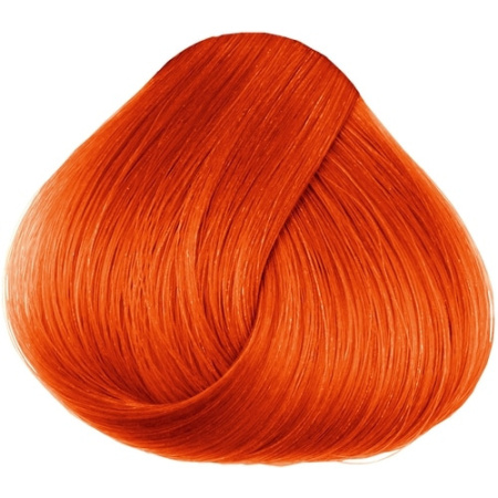 6098d203a5e32bc91e6311e6_8_64-p-500