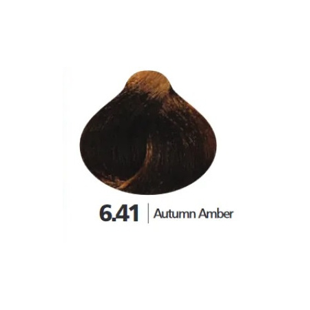 6_41