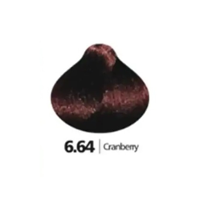 6_64_568445797