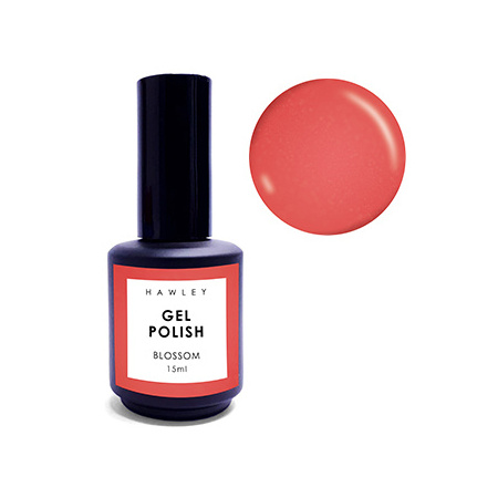 b3bc4793-7c00-4d05-b5f4-680325f7edd2