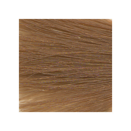 ch8_64_honeycomb_c__18398_1615778997_1280_1280__08521