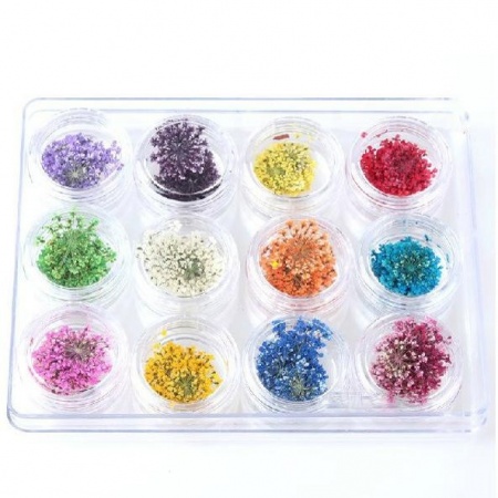 dried_flowers