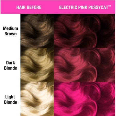 electric_pink_pussycat_2