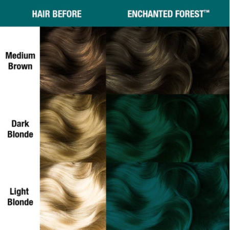 enchanted_forest_2