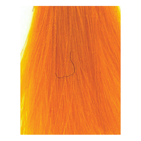 pf_gold__08638__89729__70951_1615776177_1280_1280__76548