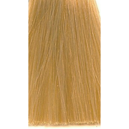 ulbm__35609__01320__19666_1615776465_1280_1280__95311